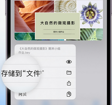 大兴apple维修中心分享iPhone文件应用中存储和找到下载文件