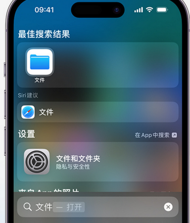 大兴apple维修中心分享iPhone文件应用中存储和找到下载文件 