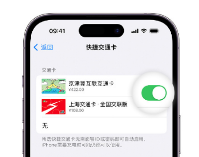 大兴apple维修点分享iPhone上更换Apple Pay快捷交通卡手绘卡面 