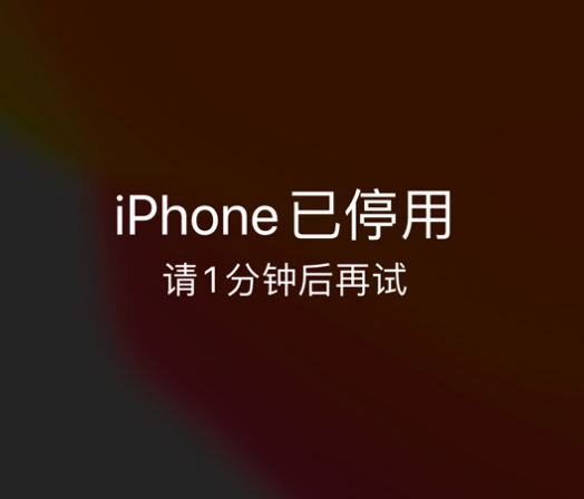 大兴苹果手机维修分享:iPhone 显示“不可用”或“已停用”怎么办？还能保留数据吗？ 