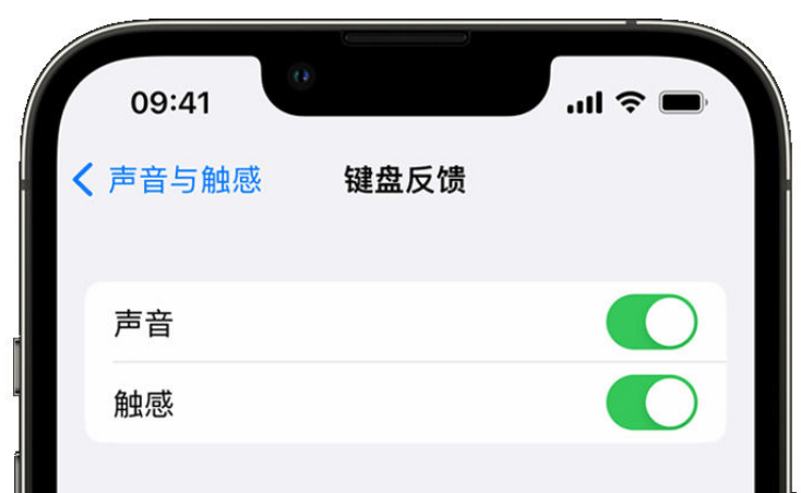 大兴苹果手机维修分享iPhone 14触感键盘使用方法 