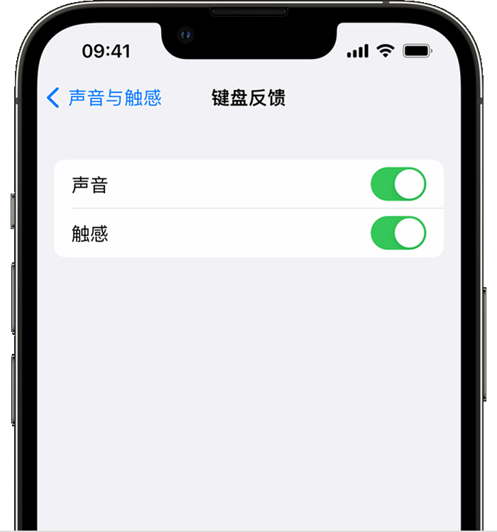 大兴苹果14维修店分享如何在 iPhone 14 机型中使用触感键盘 