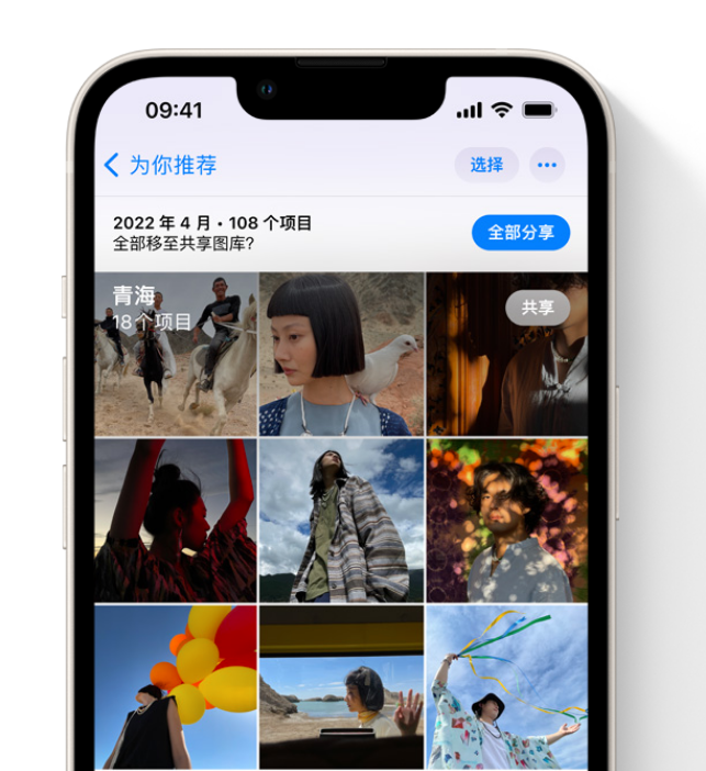 大兴苹果维修网点分享在 iPhone 上使用共享图库 