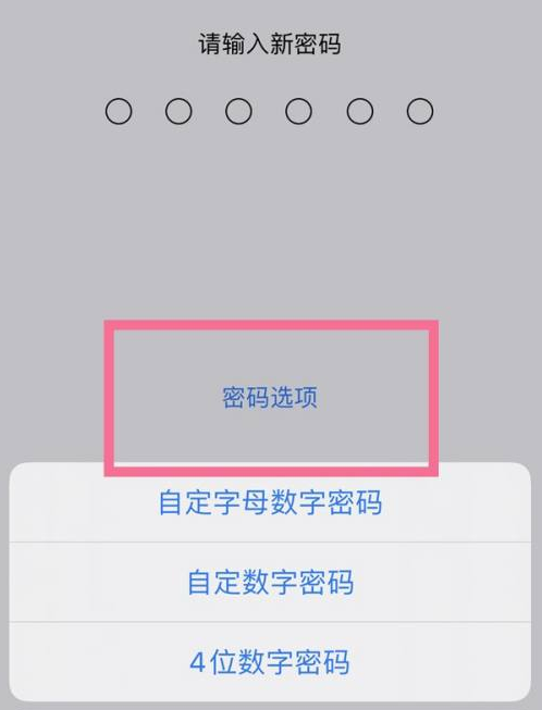 大兴苹果14维修分享iPhone 14plus设置密码的方法 