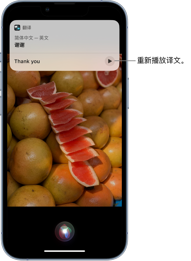 大兴苹果14维修分享 iPhone 14 机型中使用 Siri：了解 Siri 能帮你做什么 