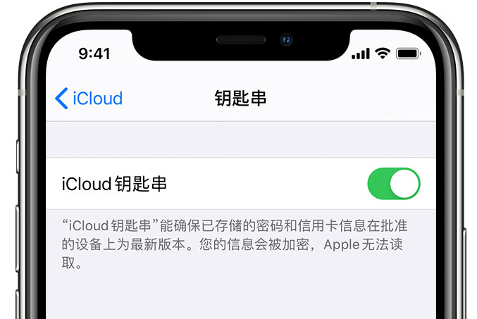 大兴苹果手机维修分享在 iPhone 上开启 iCloud 钥匙串之后会储存哪些信息 