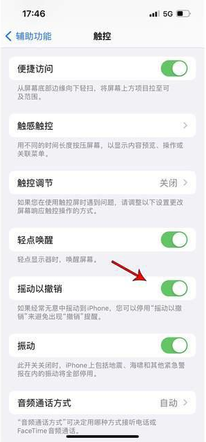 大兴苹果手机维修分享iPhone手机如何设置摇一摇删除文字 