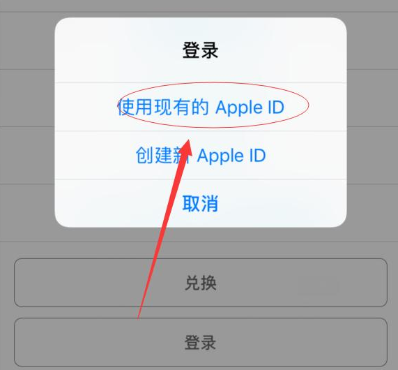 大兴苹果手机维修分享两台iPhone设备可以同时登录一个Apple ID吗 