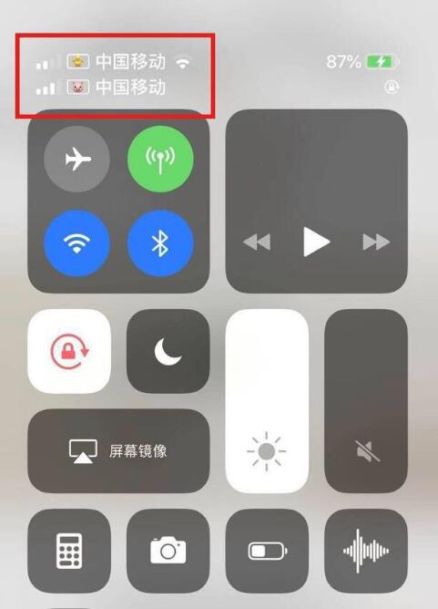 大兴苹果手机维修分享为 iPhone 12 双卡设置标签 